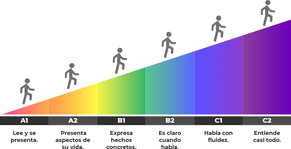 Cursos y niveles